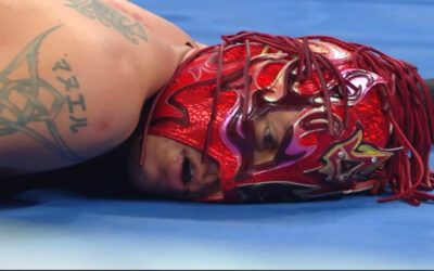Rey Fénix queda fuera de la Money in the Bank Ladder Match